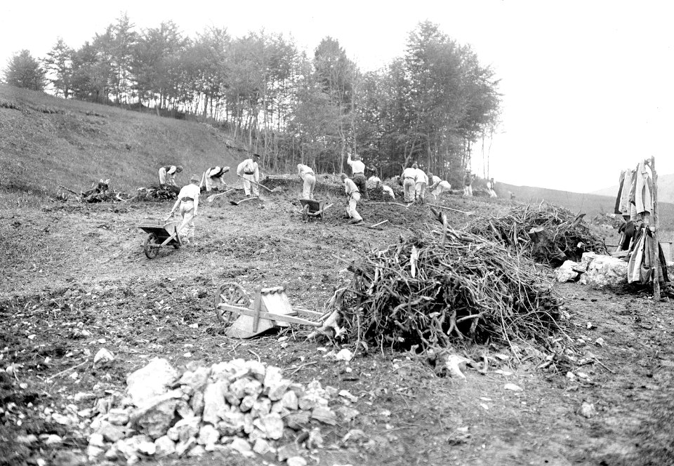 Soldaten räumen Wurzeln und Steine aus einem gerodeten Waldstück - CH-BAR - 3241215