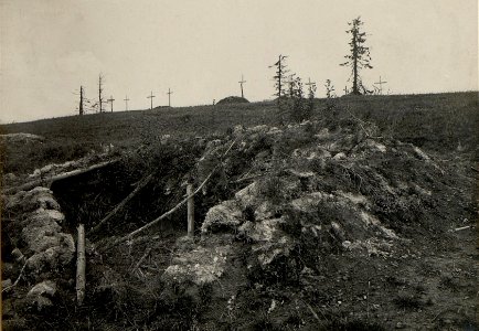 Soldatengräber am Ostry (BildID 15525006)