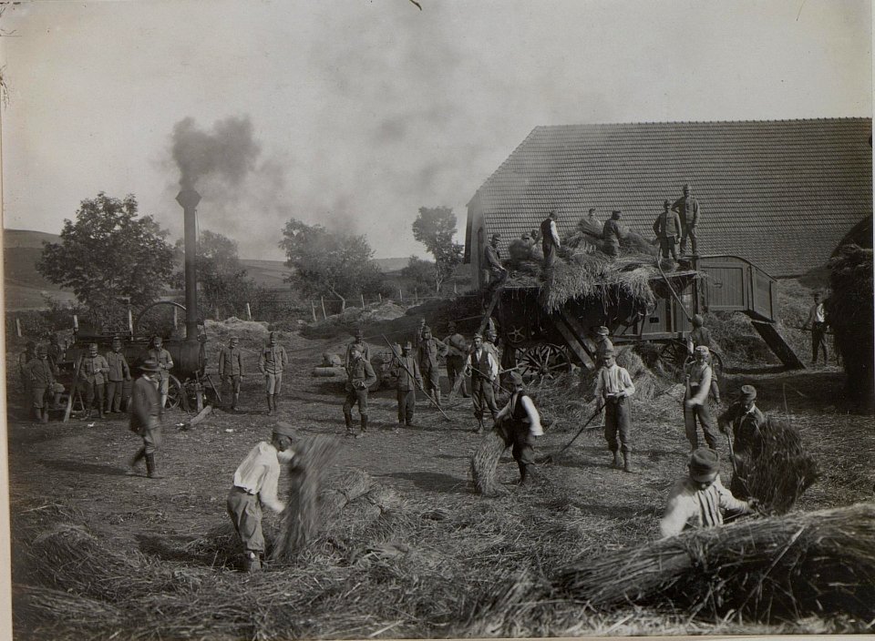 Soldaten beim Dreschen in Bybto 1916. (BildID 15451987)