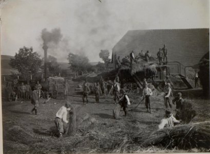 Soldaten beim Dreschen in Bybto 1916. (BildID 15451987) photo