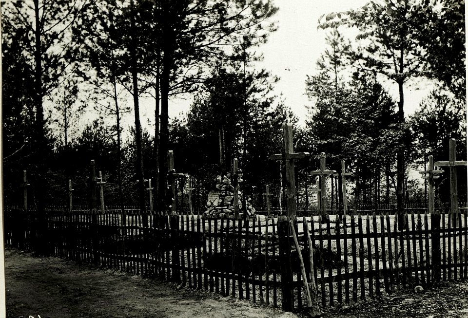 Soldatenfriedhof bei Zonia. (BildID 15591839)