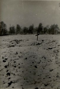 Soldatengräber des I.R.26. nördl.Suloszrova im Hintergrund der Ortsfriedhof mit österr. Schützengräben. (BildID 15539362)