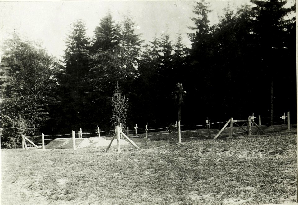 Soldatenfriedhof. (BildID 15592946)