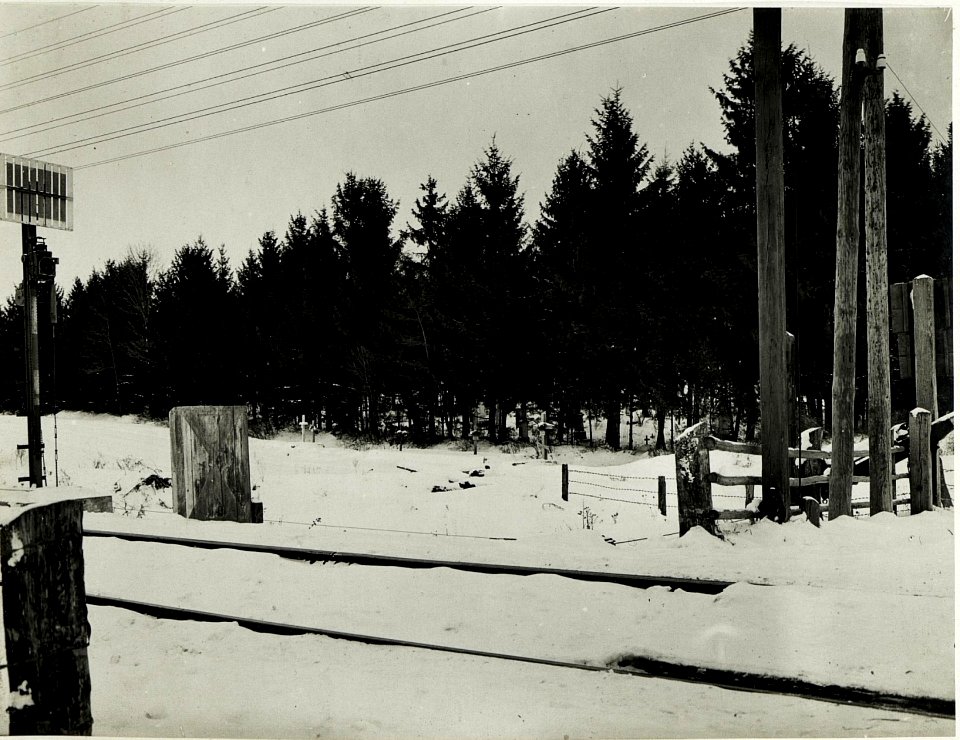 Soldatengräber beim Bahndamm südlich Bikolajew. (BildID 15591349)
