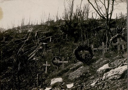 Soldatenfriedhof und Unterstände der 14.Kompanie des Infanterieregiments 53 auf dem Südhange der Kote 588 (BildID 15735831)