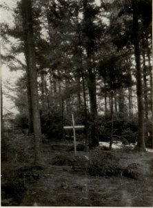 Soldatengräber im Walde nördl.der westlichsten Häuser von Strzegowa. Ldstm.des I.R.16. (BildID 15538305)