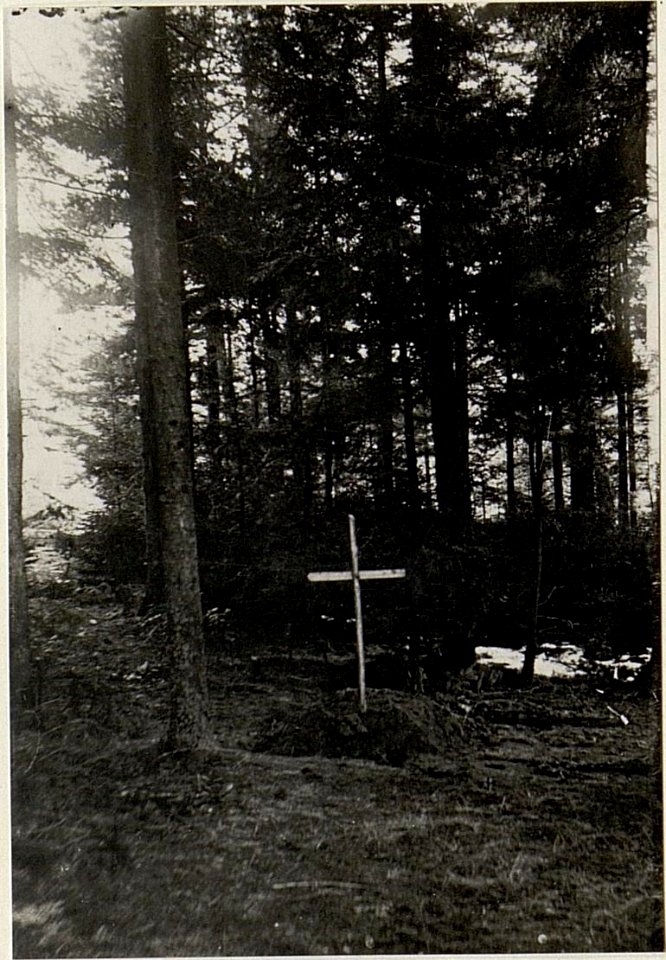 Soldatengräber am Walde nördl.der westl.Häuser von Strzegowa. (BildID 15538487)