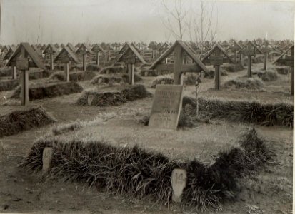 Soldatenfriedhöfe, Gräber und Denkmäler am russischen Kriegsschauplatz (BildID 15688499)