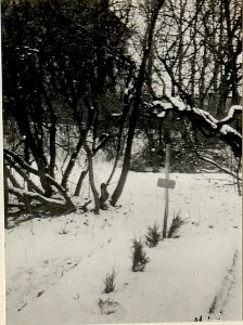 Soldatengrab im Park des Herrenhauses Pilica. (BildID 15538144)