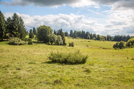 Landscape alb eaves alb