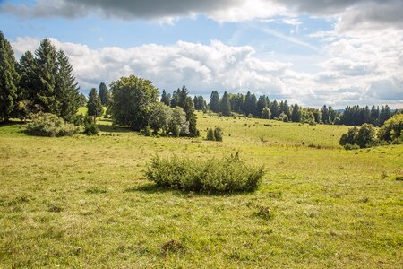 Landscape alb eaves alb photo