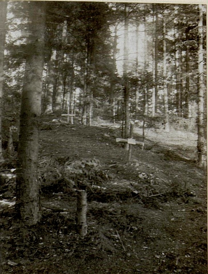 Soldatengräber am Walde nördl.der westl.Häuser von Strzegova. (BildID 15538480)