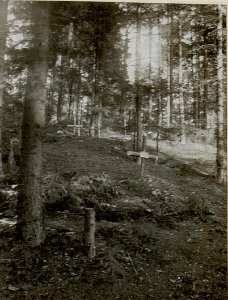 Soldatengräber am Walde nördl.der westl.Häuser von Strzegova. (BildID 15538480)