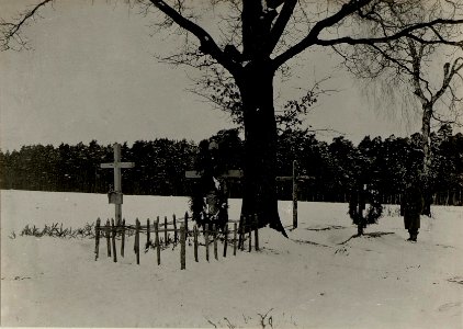 Soldatengräber des I.R.84 beim Jägerhaus vor dem Walde Chojny. (BildID 15539775)