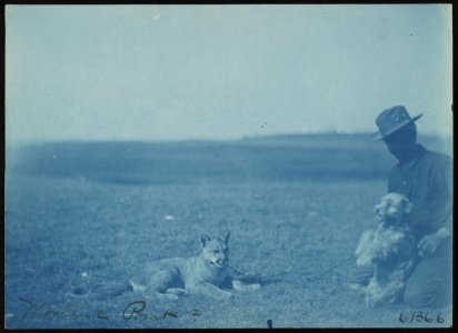 Soldier with animals at military camp, Montauk Point, New York LCCN2013651525