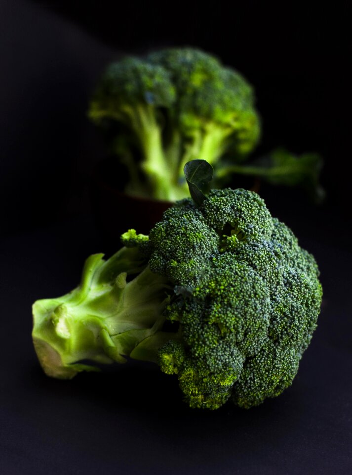 Vegetarian nutrition healthy