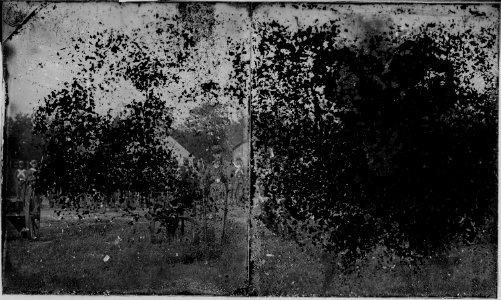 Soldiers in camp - NARA - 529745