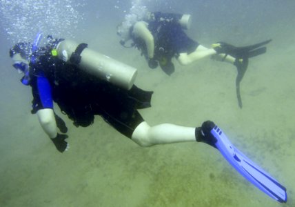 Soldiers Undertaking Disabled Scuba DVIDS136226