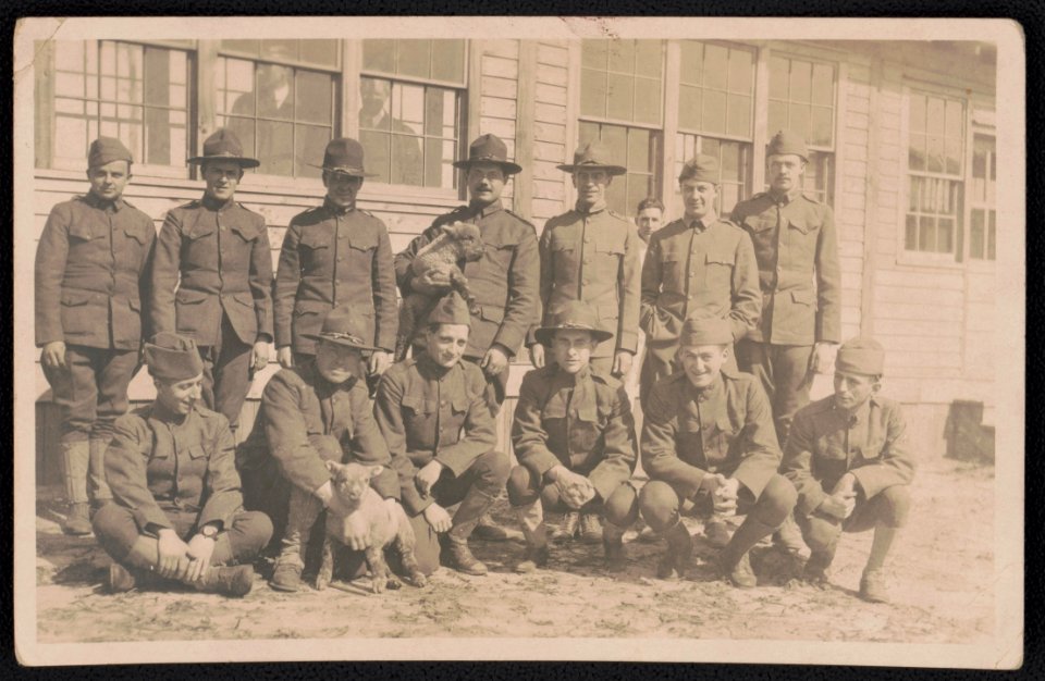Soldiers of 308th Infantry Regiment in uniform with lambs at Camp Upton, New York LCCN2018645976