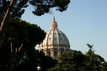 The vatican trees architecture photo