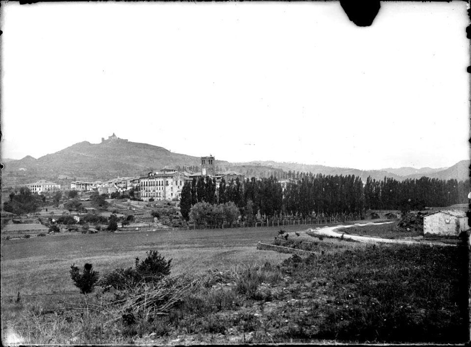 Solsona vista des del turó de Figueres