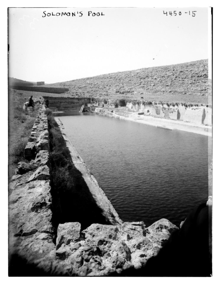 Solomon's Pool LCCN2014706119