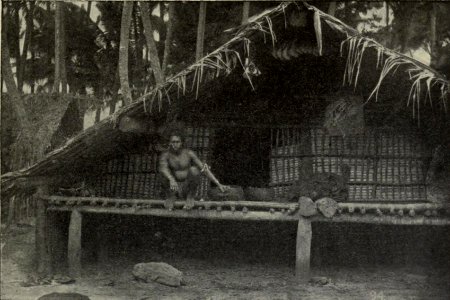 Solomon Islands House, Memoirs Bishop Museum, Vol. II, Fig. 61 photo