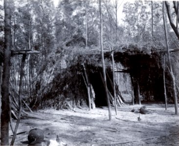 Soltak ute, Choroti; hustyp. Gran Chaco. Bolivia - SMVK - 0072.0017