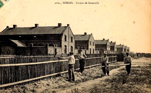 Somain - Corons De Sessevalle