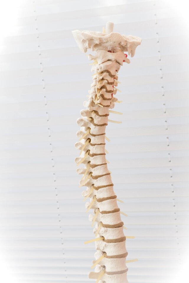 Lumbar disc herniation disease medical photo