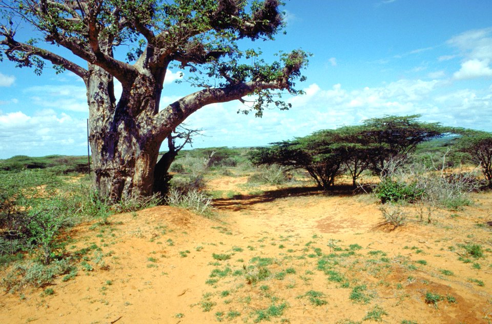 SomaliaNaheKismayo1993