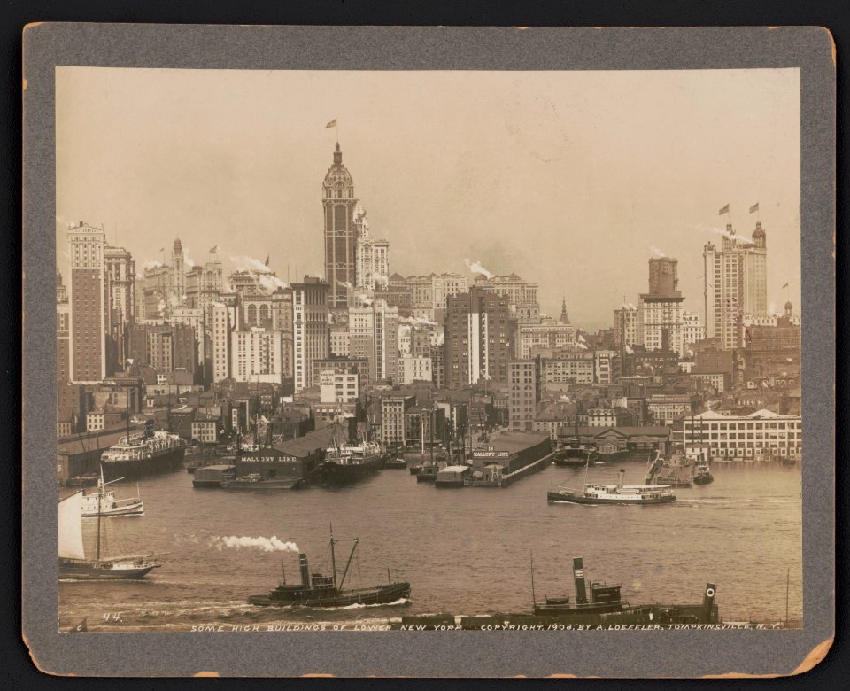 Some high buildings of lower New York LCCN2004665473