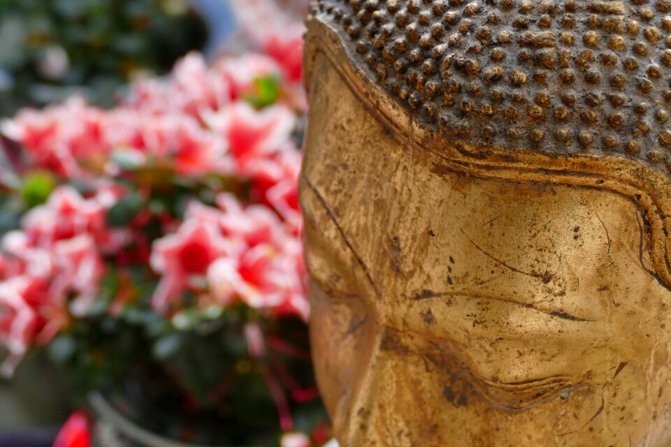 Close up meditation spiritual