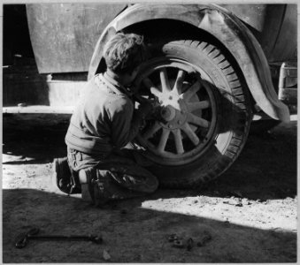 South of Eloy, Pinal County, Arizona. Ten-year-old migratory Mexican cotton picker. He was born in T . . . - NARA - 522015 photo