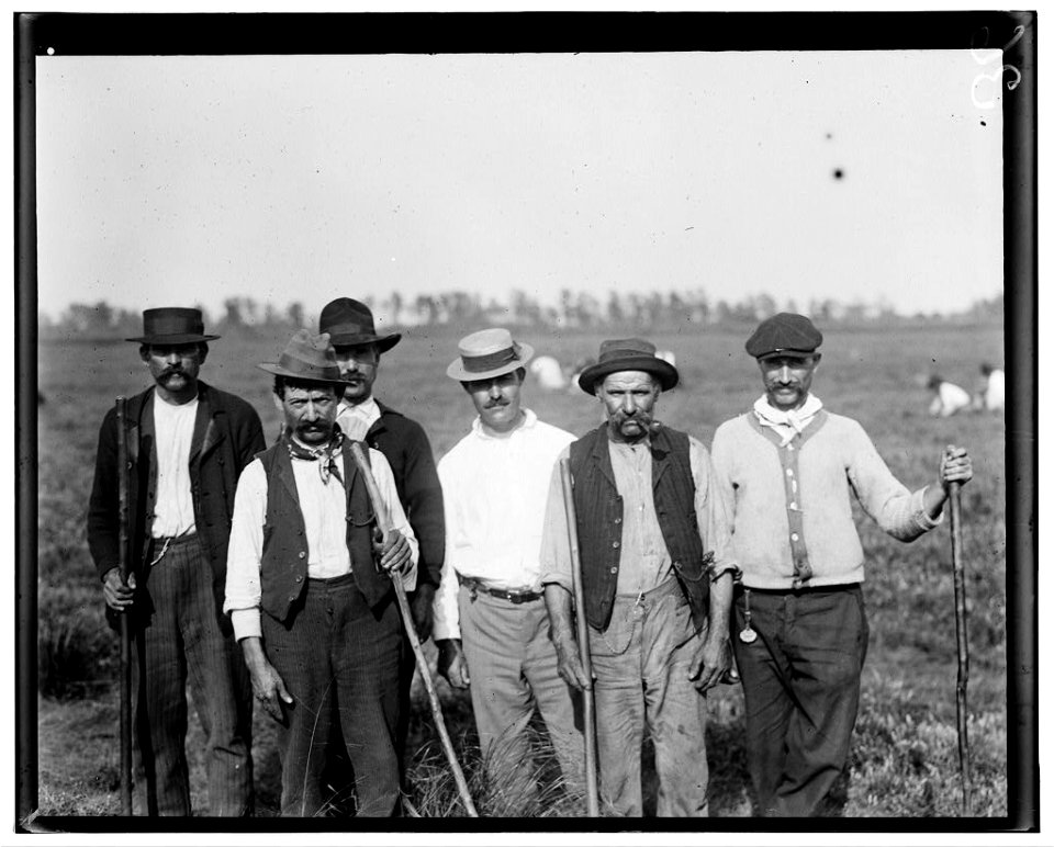 Some of the padrones on Whites Bog, Browns Hills (i.e., Mills), N.J. The chief padrone (in straw hat) is Gus Denato (see report of E.F. Brown). Sept. 28, 1910. Witness, E.F. Brown. LOC nclc.05306