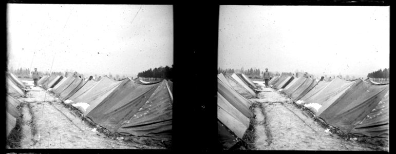 Somme-Suippes. Camp de prisonniers allemands - Fonds Berthelé - 49Fi478