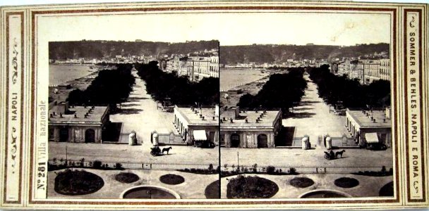 Sommer, Giorgio (1834-1914) & Behles, Edmond (1841-1924) - n. 0281 - Napoli - Villa nazionale