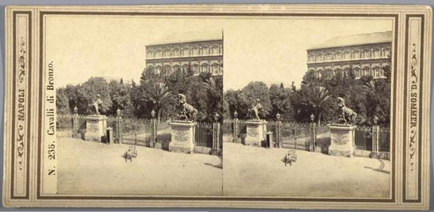 Sommer, Giorgio (1834-1914) - n. 0235 bis - Cavalli di Bronzo (Napoli)