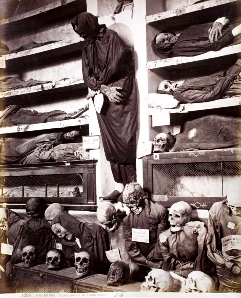 Sommer, Giorgio (1834-1914) - n. 1309 - Palermo - Catacombe dei Cappuccini