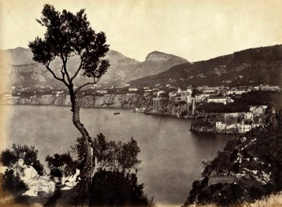 Sommer, Giorgio (1834-1914) - 1150 ter - Sorrento