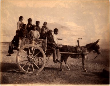Sommer, Giorgio (1834-1914) - n. 1301 - Carretto