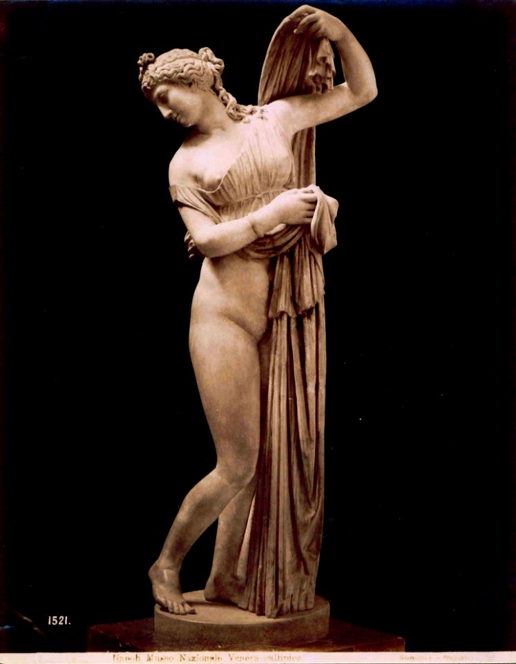 Sommer, Giorgio (1834-1914) - n. 1521 - Napoli Museo nazionale - Venere callipigia