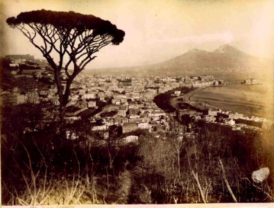 Sommer, Giorgio (1834-1914) - n. 1167 - Napoli - Panorama