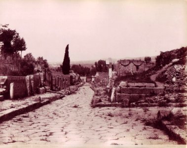 Sommer, Giorgio (1834-1914) - n. 1212 - Pompei - Strada delle tombe