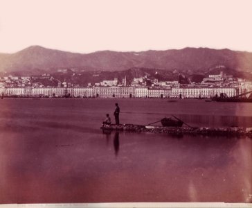 Sommer, Giorgio (1834-1914) - n. 8740 - Messina - Panorama da S. Salvatore
