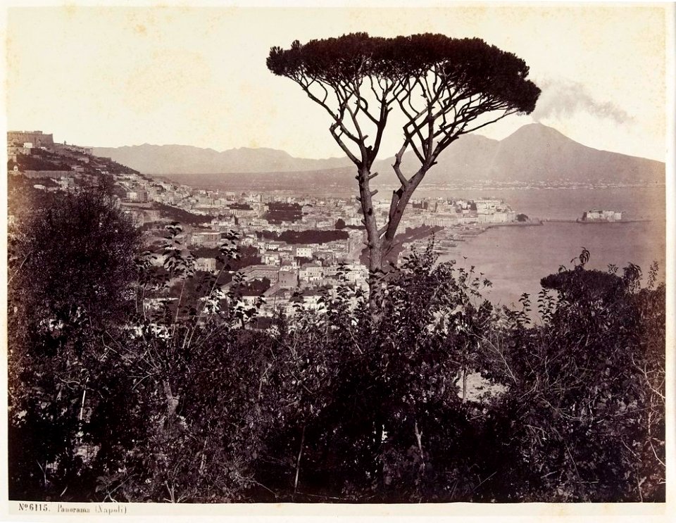Sommer, Giorgio (1834-1914) - n. 6115 Panorama (Napoli)