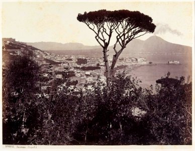 Sommer, Giorgio (1834-1914) - n. 6115 Panorama (Napoli)