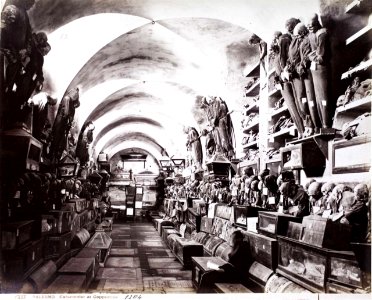 Sommer, Giorgio (1834-1914) - n. 1337 - Palermo - Catacombe dei Cappuccini