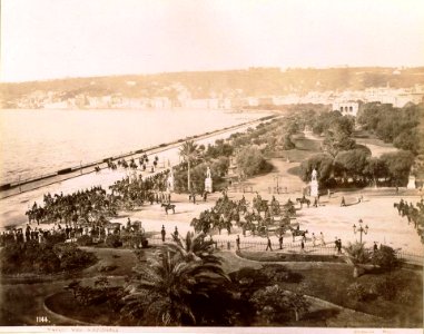 Sommer, Giorgio (1834-1914) - n. 1144 - Napoli - Villa Nazionale