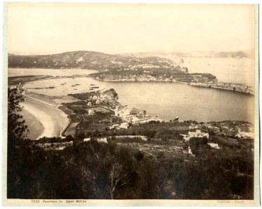 Sommer, Giorgio (1834-1914) - n. 2568 - Panorama da Capo Miseno